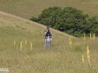 2019-07-06 P. Borghese e Porche 122